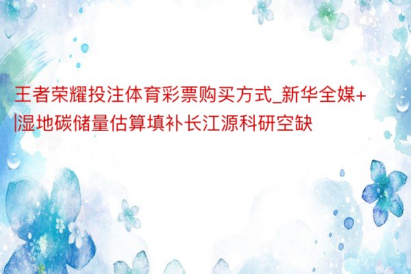 王者荣耀投注体育彩票购买方式_新华全媒+|湿地碳储量估算填补长江源科研空缺